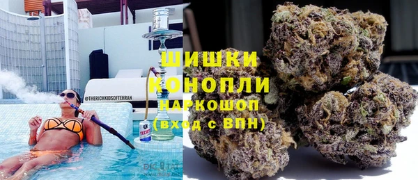сатива Алзамай